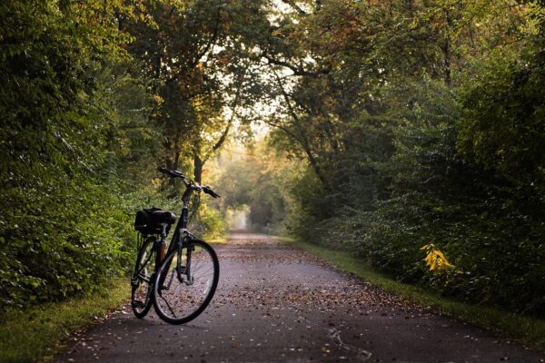 Unleash Your Potential: The Journey to Personal Transformation Begins Today